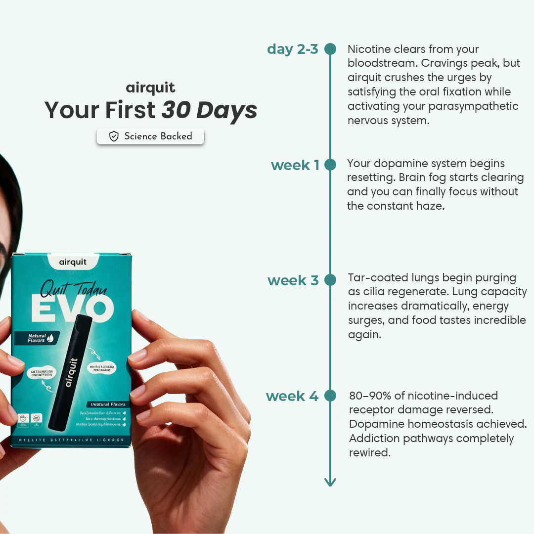 Starter Kit - Image 5